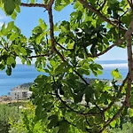 Josh Makarska